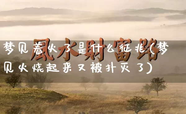 梦见着火了是什么征兆(梦见火烧起来又被扑灭了)_https://www.dao-sheng-yuan.com_风水_第1张