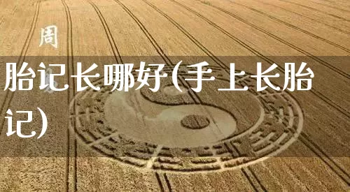 胎记长哪好(手上长胎记)_https://www.dao-sheng-yuan.com_八字_第1张