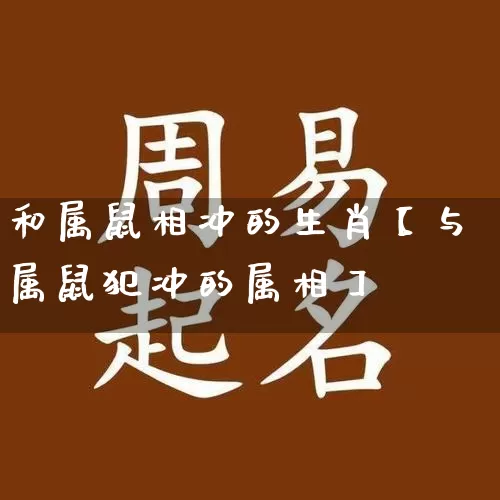 和属鼠相冲的生肖【与属鼠犯冲的属相】_https://www.dao-sheng-yuan.com_周公解梦_第1张