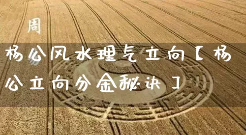 杨公风水理气立向【杨公立向分金秘诀】_https://www.dao-sheng-yuan.com_生肖属相_第1张