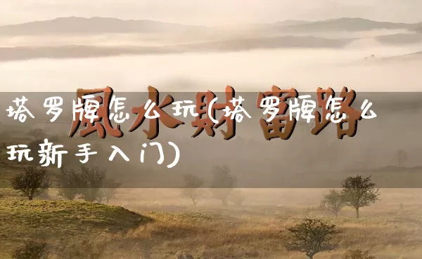 塔罗牌怎么玩(塔罗牌怎么玩新手入门)_https://www.dao-sheng-yuan.com_道源国学_第1张