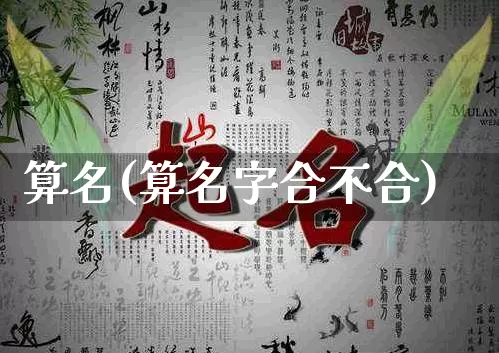 算名(算名字合不合)_https://www.dao-sheng-yuan.com_八字_第1张