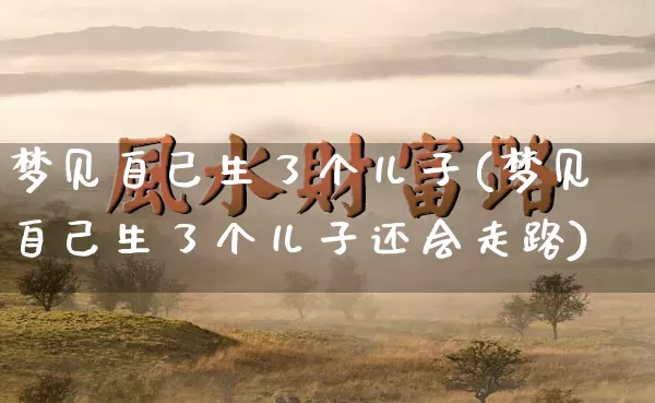 梦见自己生了个儿子(梦见自己生了个儿子还会走路)_https://www.dao-sheng-yuan.com_起名_第1张