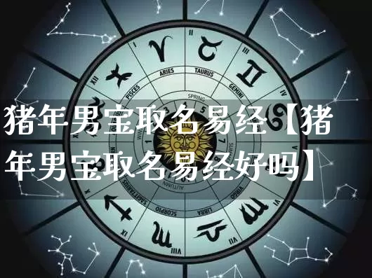 猪年男宝取名易经【猪年男宝取名易经好吗】_https://www.dao-sheng-yuan.com_风水_第1张