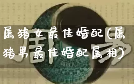 属猪女最佳婚配(属猪男最佳婚配属相)_https://www.dao-sheng-yuan.com_生肖属相_第1张