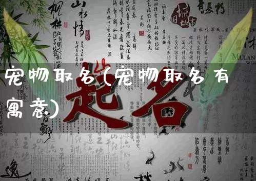 宠物取名(宠物取名有寓意)_https://www.dao-sheng-yuan.com_起名_第1张