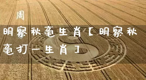 明察秋毫生肖【明察秋毫打一生肖】_https://www.dao-sheng-yuan.com_易经_第1张