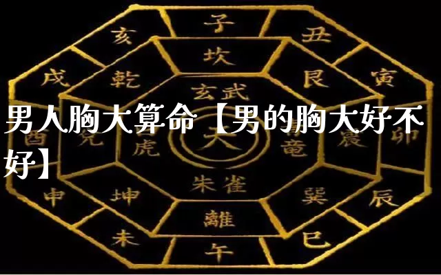 男人胸大算命【男的胸大好不好】_https://www.dao-sheng-yuan.com_起名_第1张