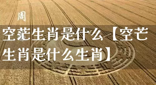 空茫生肖是什么【空芒生肖是什么生肖】_https://www.dao-sheng-yuan.com_五行_第1张