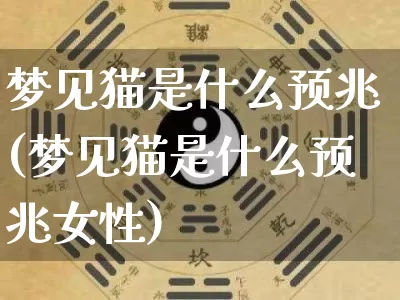 梦见猫是什么预兆(梦见猫是什么预兆女性)_https://www.dao-sheng-yuan.com_五行_第1张