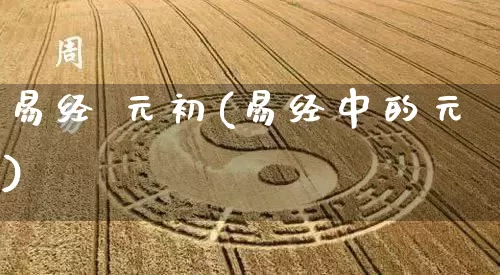 易经 元初(易经中的元)_https://www.dao-sheng-yuan.com_周公解梦_第1张