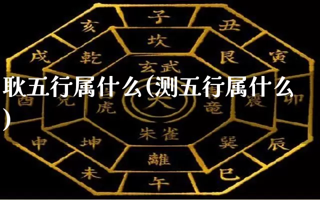 耿五行属什么(测五行属什么)_https://www.dao-sheng-yuan.com_五行_第1张