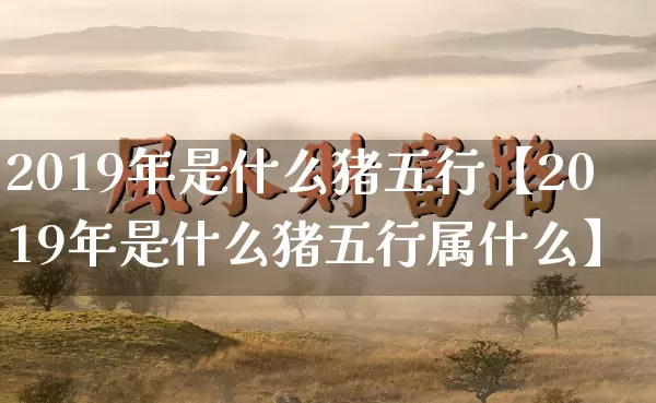 2019年是什么猪五行【2019年是什么猪五行属什么】_https://www.dao-sheng-yuan.com_道源国学_第1张
