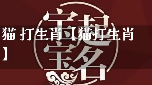 猫 打生肖【猫打生肖】_https://www.dao-sheng-yuan.com_五行_第1张