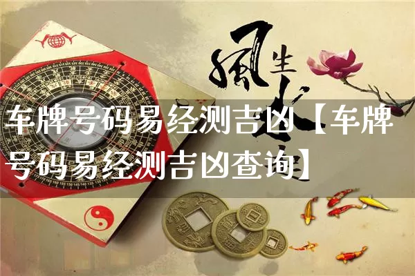 车牌号码易经测吉凶【车牌号码易经测吉凶查询】_https://www.dao-sheng-yuan.com_八字_第1张