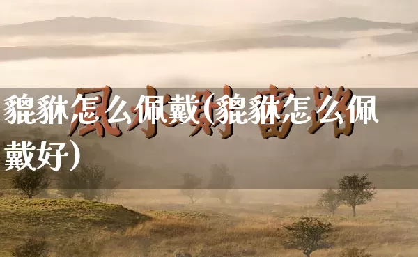 貔貅怎么佩戴(貔貅怎么佩戴好)_https://www.dao-sheng-yuan.com_生肖属相_第1张