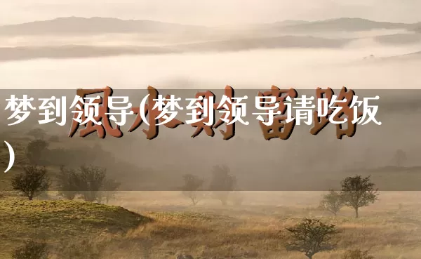 梦到领导(梦到领导请吃饭)_https://www.dao-sheng-yuan.com_五行_第1张