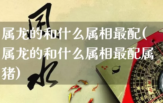 属龙的和什么属相最配(属龙的和什么属相最配属猪)_https://www.dao-sheng-yuan.com_十二星座_第1张