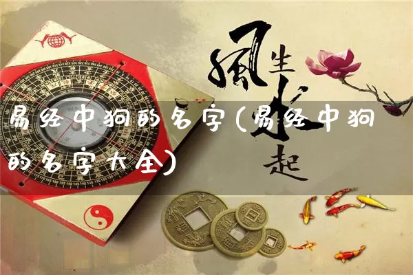 易经中狗的名字(易经中狗的名字大全)_https://www.dao-sheng-yuan.com_易经_第1张