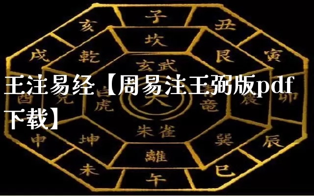 王注易经【周易注王弼版pdf下载】_https://www.dao-sheng-yuan.com_易经_第1张