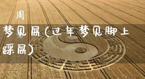 梦见屎(过年梦见脚上踩屎)_https://www.dao-sheng-yuan.com_八字_第1张