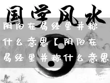 阴阳在易经里并称什么意思【阴阳在易经里并称什么意思呢】_https://www.dao-sheng-yuan.com_易经_第1张