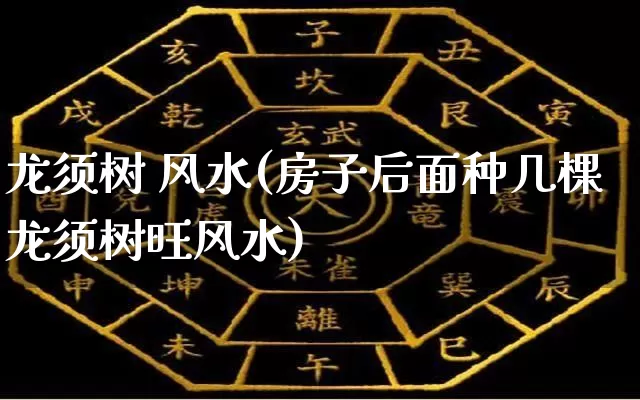 龙须树 风水(房子后面种几棵龙须树旺风水)_风水_第1张_道圣缘 龙须树 风水(房子后面种几棵龙须树旺风水)_https://www.dao-sheng-yuan.com_风水_第1张