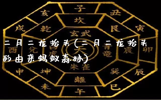 二月二龙抬头(二月二龙抬头的由来蚂蚁森林)_https://www.dao-sheng-yuan.com_周公解梦_第1张