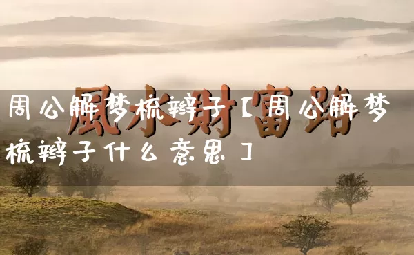 周公解梦梳辫子【周公解梦梳辫子什么意思】_https://www.dao-sheng-yuan.com_五行_第1张