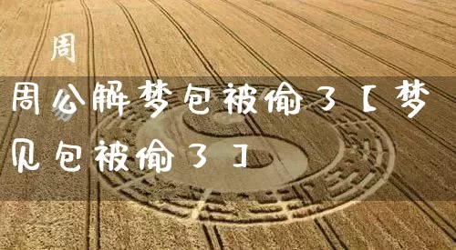 周公解梦包被偷了【梦见包被偷了】_https://www.dao-sheng-yuan.com_风水_第1张