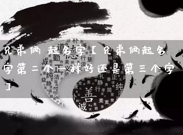 兄弟俩 起名字【兄弟俩起名字第二个一样好还是第三个字】_https://www.dao-sheng-yuan.com_生肖属相_第1张