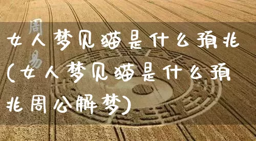女人梦见猫是什么预兆(女人梦见猫是什么预兆周公解梦)_https://www.dao-sheng-yuan.com_道源国学_第1张