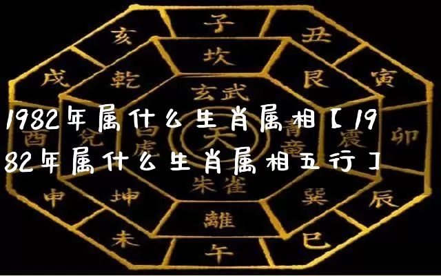 1982年属什么生肖属相【1982年属什么生肖属相五行】_https://www.dao-sheng-yuan.com_道源国学_第1张