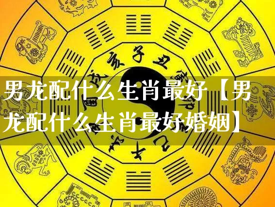 男龙配什么生肖最好【男龙配什么生肖最好婚姻】_生肖属相_第1张_道圣缘 男龙配什么生肖最好【男龙配什么生肖最好婚姻】_https://www.dao-sheng-yuan.com_生肖属相_第1张