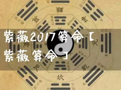 紫薇2017算命【紫薇算命】_https://www.dao-sheng-yuan.com_起名_第1张