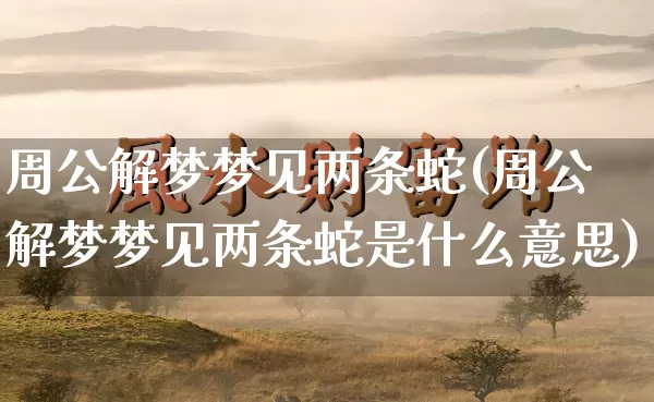 周公解梦梦见两条蛇(周公解梦梦见两条蛇是什么意思)_https://www.dao-sheng-yuan.com_易经_第1张