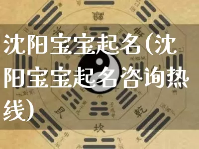 沈阳宝宝起名(沈阳宝宝起名咨询热线)_https://www.dao-sheng-yuan.com_八字_第1张