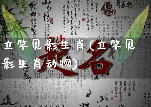 立竿见影生肖(立竿见影生肖动物)_https://www.dao-sheng-yuan.com_生肖属相_第1张