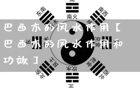 巴西木的风水作用【巴西木的风水作用和功效】_风水_第1张_道圣缘 巴西木的风水作用【巴西木的风水作用和功效】_https://www.dao-sheng-yuan.com_风水_第1张