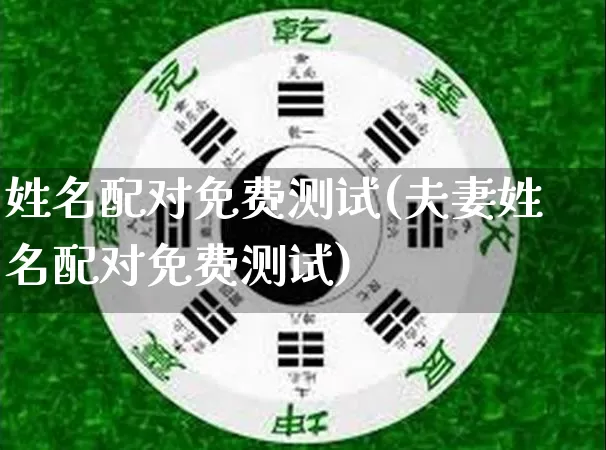 姓名配对免费测试(夫妻姓名配对免费测试)_https://www.dao-sheng-yuan.com_五行_第1张
