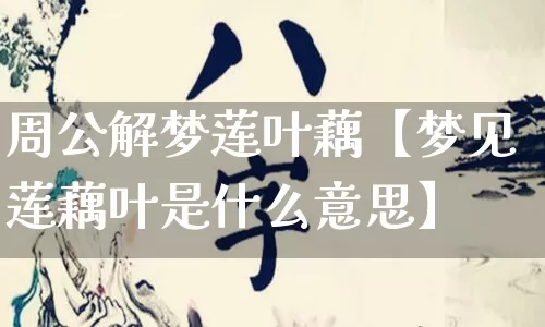 周公解梦莲叶藕【梦见莲藕叶是什么意思】_https://www.dao-sheng-yuan.com_算命_第1张