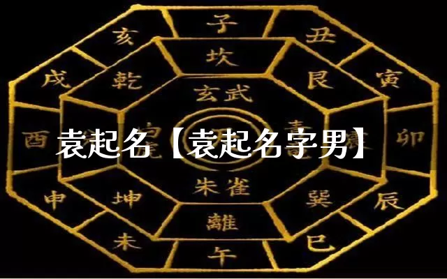 袁起名【袁起名字男】_https://www.dao-sheng-yuan.com_五行_第1张