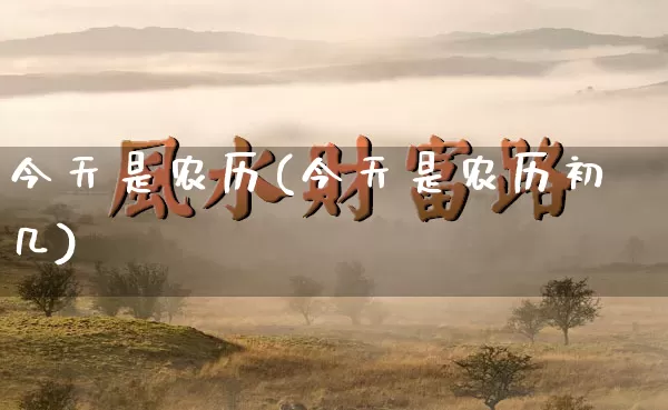 今天是农历(今天是农历初几)_https://www.dao-sheng-yuan.com_算命_第1张