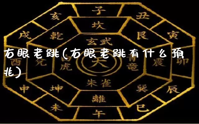 右眼老跳(右眼老跳有什么预兆)_https://www.dao-sheng-yuan.com_生肖属相_第1张
