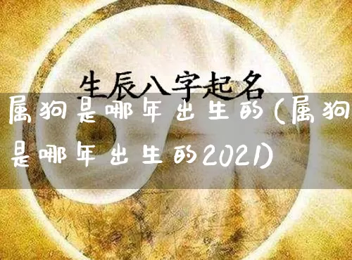 属狗是哪年出生的(属狗是哪年出生的2021)_https://www.dao-sheng-yuan.com_八字_第1张
