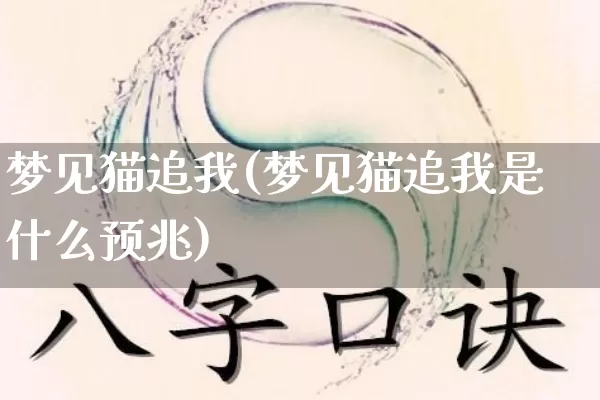 梦见猫追我(梦见猫追我是什么预兆)_https://www.dao-sheng-yuan.com_易经_第1张