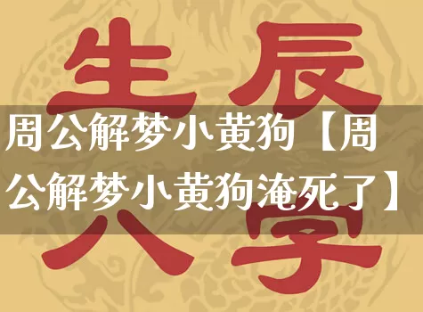 周公解梦小黄狗【周公解梦小黄狗淹死了】_https://www.dao-sheng-yuan.com_道源国学_第1张