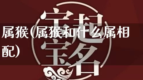 属猴(属猴和什么属相配)_https://www.dao-sheng-yuan.com_五行_第1张