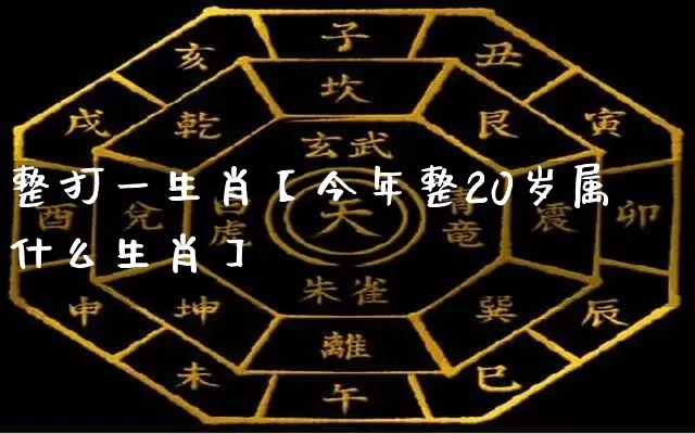 整打一生肖【今年整20岁属什么生肖】_生肖属相_第1张_道圣缘 整打一生肖【今年整20岁属什么生肖】_https://www.dao-sheng-yuan.com_生肖属相_第1张