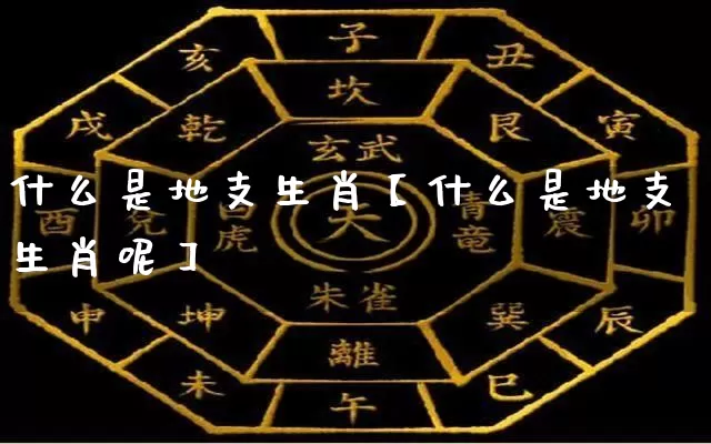 什么是地支生肖【什么是地支生肖呢】_https://www.dao-sheng-yuan.com_生肖属相_第1张